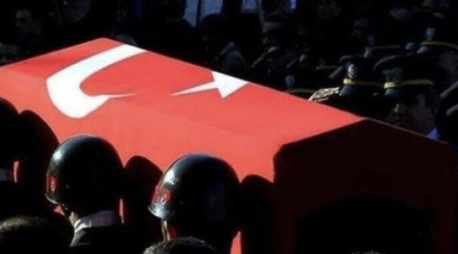 Hakkari'de 2 özel harekat polisi şehit oldu