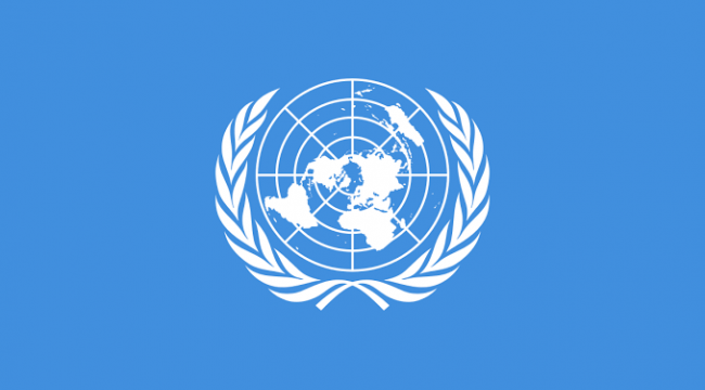 BM Genel Kurulu tavsiye kararı