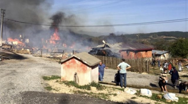 Bolu'da bir köy tamamen yandı