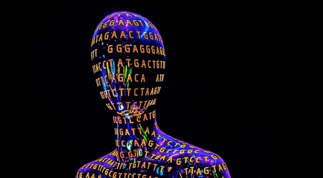 İnsan genomu projesi nedir?