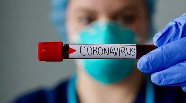 1 Aralık koronavirüs raporu, PCR testi pozitif sayıları
