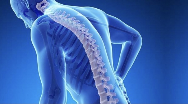 Osteoporoz tedavisi ve Osteoporoz hakkında yeni bilgiler