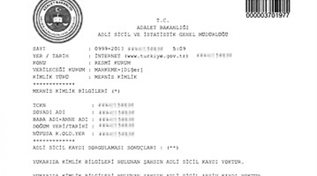 İnternet üzerinden 20 milyon adli sicil kaydı alındı