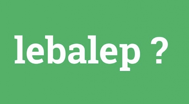 Lebaleb ne demek, Lebaleb'in özel anlamı nedir?