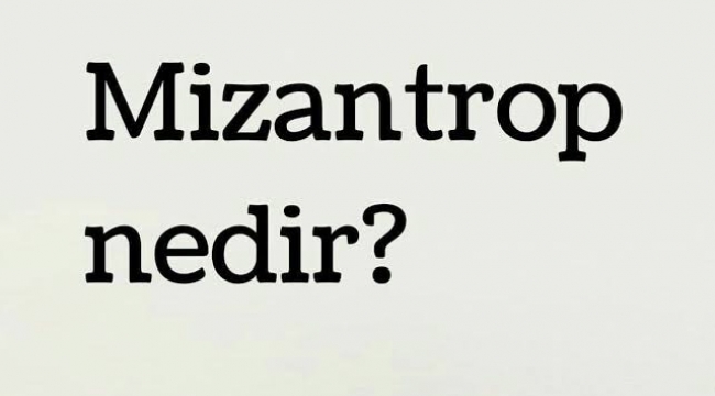 Mizantrop nedir, nerede kullanılır?