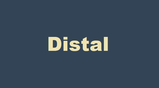Distal kelime anlamı nedir?