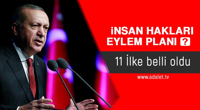 İnsan Hakları Eylem Planı'nın 11 ilkesi açıklandı