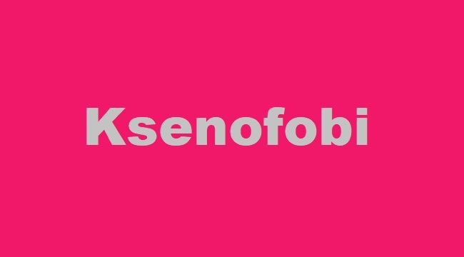 Ksenofobi nedir, ne demek?