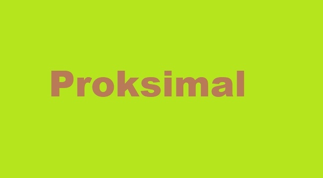 Proksimal kelime anlamı nedir?