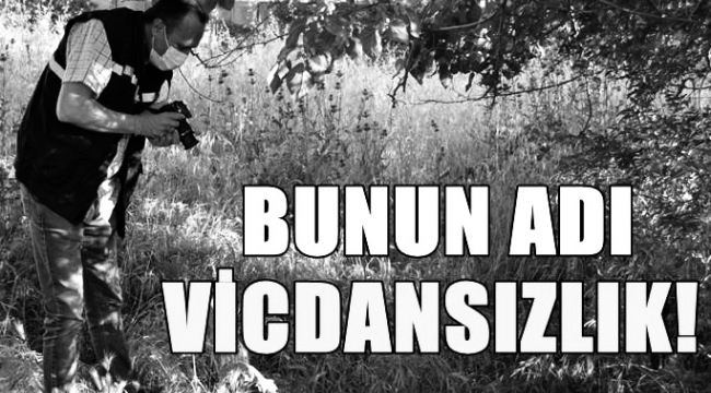 Bebeğini çukura atıp ölmesine neden olan anne tutuklandı