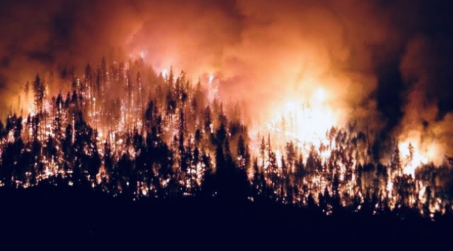 Hükümlüler orman yangınlarını söndürmeye yardım edecek