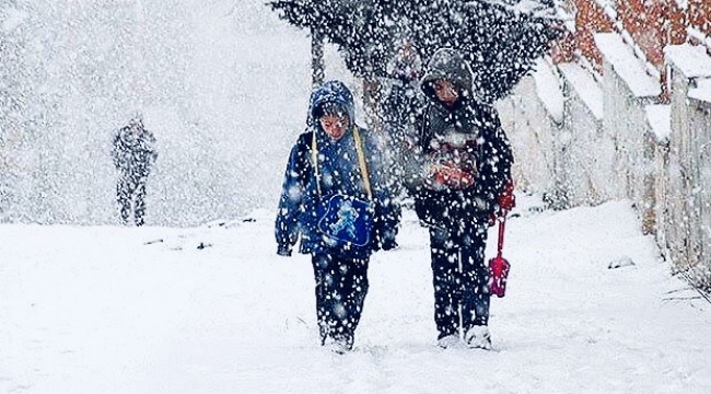 Kar yağışı nedeniyle okullar tatil olan iller
