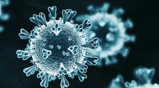 Koronavirüs günlük vaka sayısı en düşük seviyede