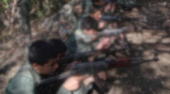 Terör örgütü PKK'nın hendek olayları bilançosu