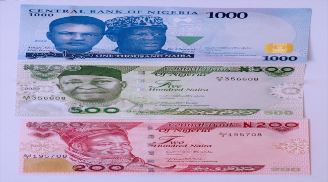 Nijerya'da güvenlik sorunları nedeniyle yeni tasarlanan banknotlar açıklandı