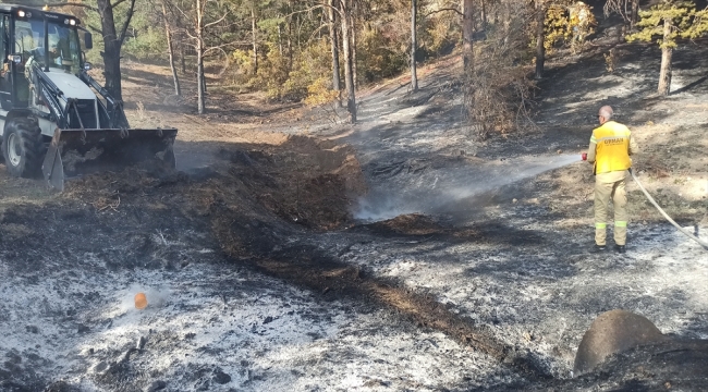 Tokat'ta çıkan yangında 2 dönüm ormanlık alan zarar gördü