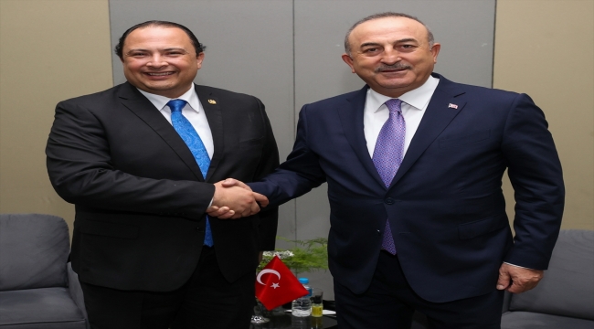 Bakan Çavuşoğlu, Brezilyalı, Guatemalalı ve Gabonlu mevkidaşlarıyla bir araya geldi