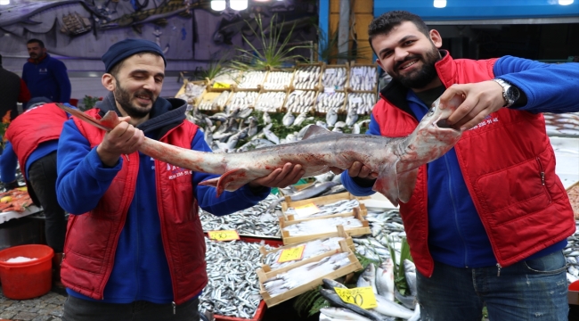 Edirneli balıkçıların Karadeniz'de yakaladığı köpek balığı pazarda sergileniyor