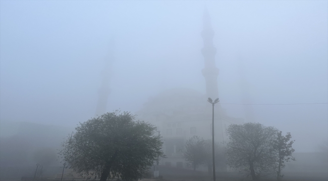 Iğdır'da iki gündür yoğun sis etkili oluyor