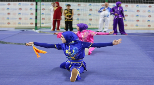 Sakarya'da Geleneksel Wushu Kung Fu Türkiye Şampiyonası başladı