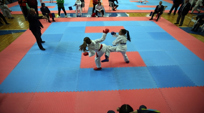 21. Ali Gaffar Okkan Karate Turnuvası Sakarya'da yapıldı