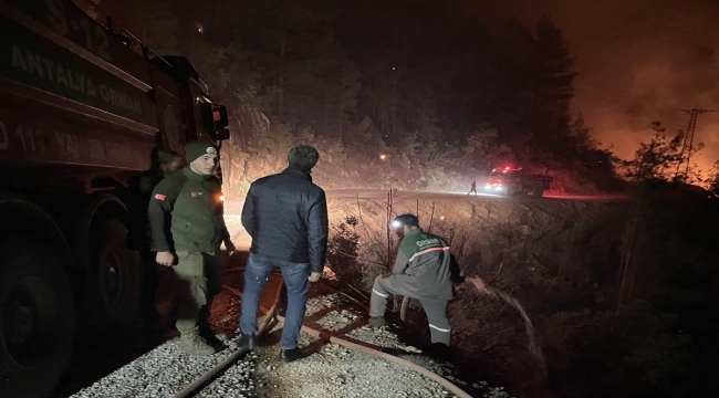 Alanya'da orman yangını başladı