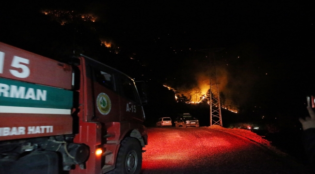 Alanya'da orman yangını başladı
