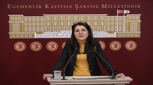 HDP'li Gülüm: "Hayati riski bulunan hastalar dahi aylarca randevu sırası beklemek zorunda kalıyor"