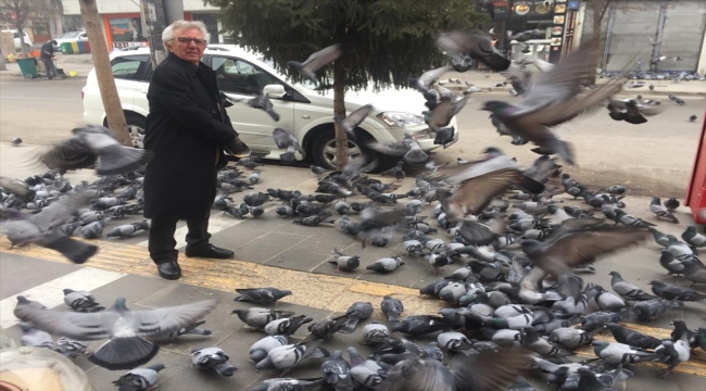 Kars'ta soğuklar nedeniyle aç kalan güvercinleri esnaf besliyor