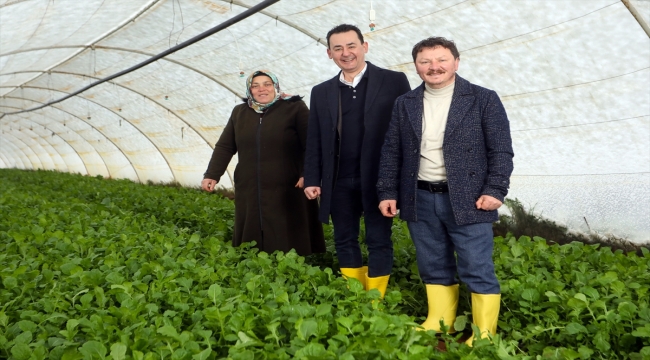 CarrefourSA'dan "Kent Tarımı" seferberliği