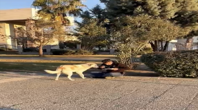 Deprem bölgesinde görevli polis, kumanyasını sokak köpeğiyle paylaştı