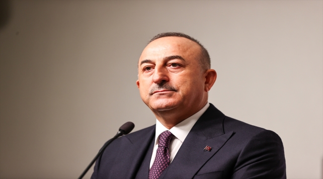 Estonya Dışişleri Bakanı Reinsalu, Çavuşoğlu ile ortak basın toplantısında konuştu