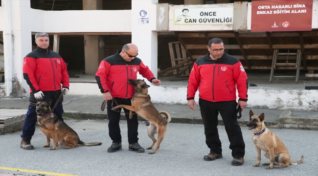 İzmir İtfaiyesi ekipleri, arama kurtarma köpekleriyle enkaz altındakilerin yerini tespit etti