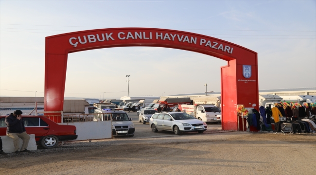 Çankırılı üreticiler depremzedeler için 253 küçükbaş hayvan bağışladı