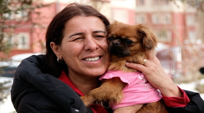 Depremde enkazdan kurtarılan köpek "Tarçın"ı Bingöllü hayvansever sahiplendi