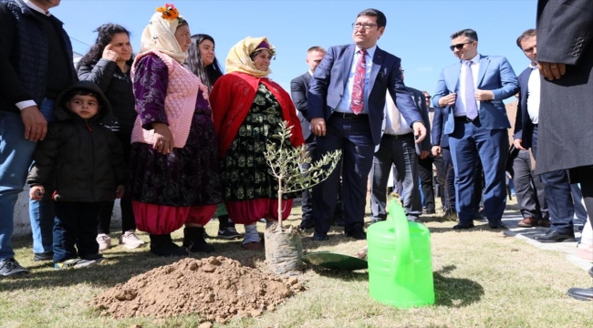 Muğla'da 100 bin ıtri tıbbi bitki ve 5 bin meyve fidanı dağıtıldı