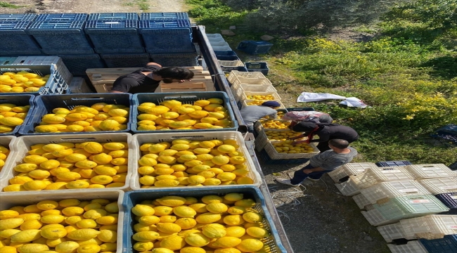 Şok Marketler deprem bölgesinde tarımı ve çiftçiyi destekliyor