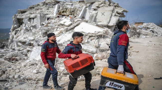Suriye'de depremlerde yaralanan dost patileri bulup tedavi ediyorlar