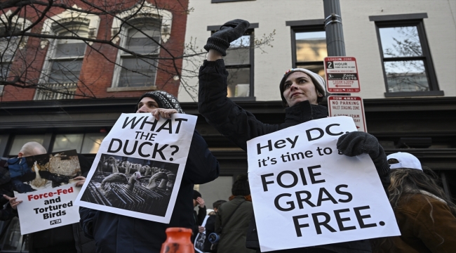 Washington'da işkenceyle beslenen kaz ve ördek ciğerinin satışına protesto