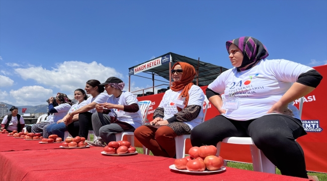 Antalya'da kadınlar domates yeme ve kasa taşıma yarışmasında mücadele etti 