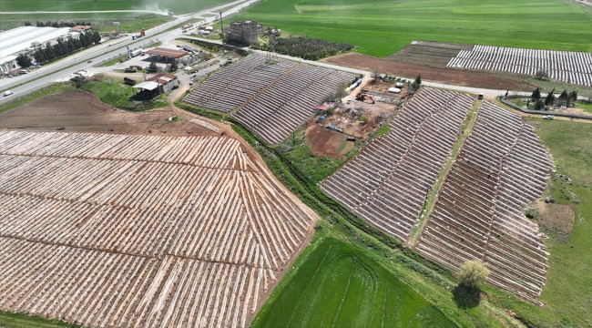 Depremzede tarım işçileri ramazanda tarlada emek harcıyor