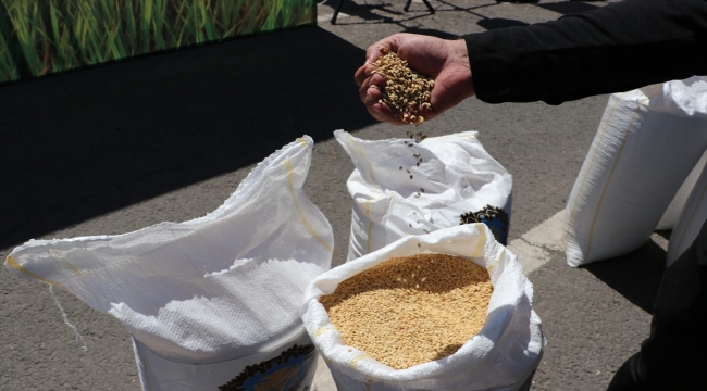 Diyarbakır'da yüzde 75 hibe ile 93 çiftçiye 169 ton çeltik tohumu dağıtıldı