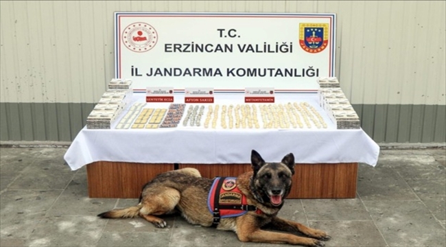 Erzincan'da yuttukları uyuşturucuyla yakalanan İran uyruklu 3 kişi tutuklandı