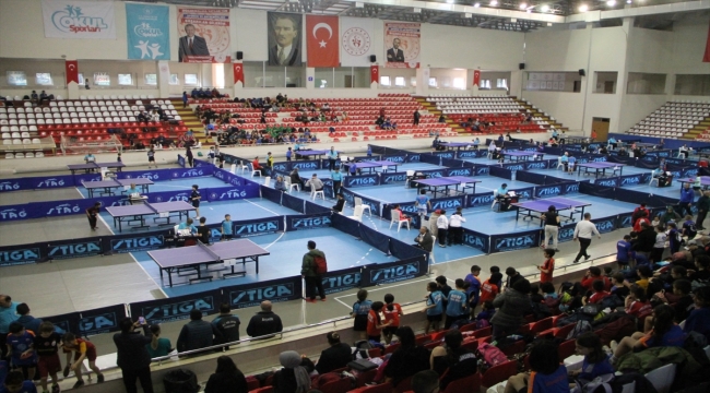 Masa Tenisi Minikler ve Küçükler Federasyon Kupası müsabakaları Amasya'da sona erdi