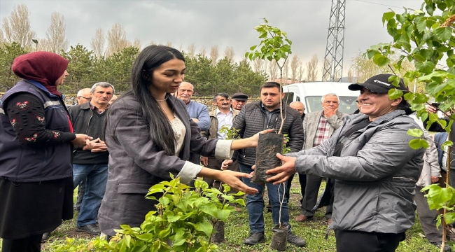 Ardahan'da arıcılıktaki nektarın artırılması için üreticilere 1500 fidan dağıtıldı