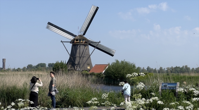 Hollanda'nın Kinderdijk köyündeki 15. yüzyıla ait 19 değirmen ziyarete açıldı