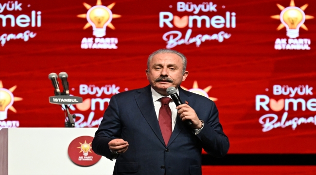 İstanbul'da "Büyük Rumeli Buluşması" yapılıyor