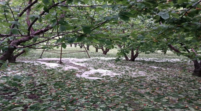 İzmir ve Denizli'de dolu yağışı etkili oldu