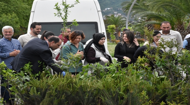 Ordu'da sigaranın çevreye verdiği zarara dikkat çekmek için "izmarit" toplandı