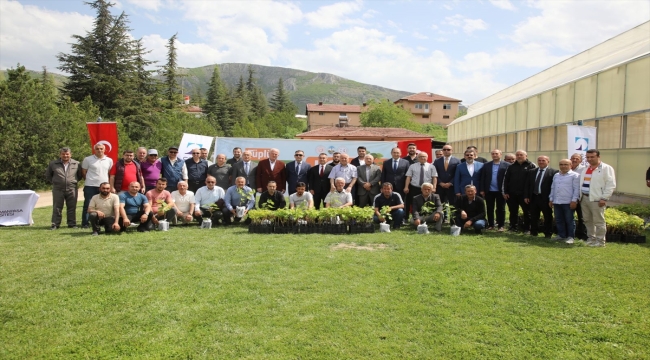 TOGÜ'de üretilen 2 bin aşılı asma fidanı üreticilere dağıtıldı